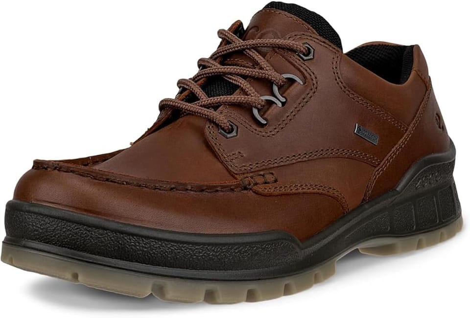 ECCO Sport Track 25 Gore-TEX Hiking Shoes 37% Off – Just $158.00 (Reg. $249.95)